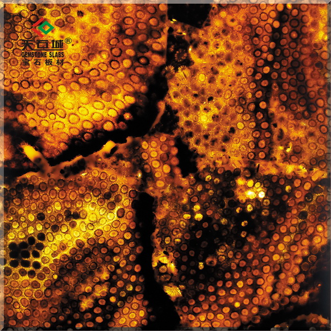 TSC-G9 �ջ�ʯ(͸��)