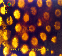 TSC-G12ɺ����ʯ���