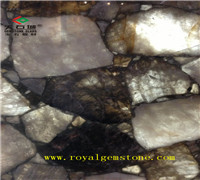 TSC-H22��ˮ��