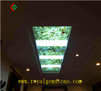 TSC-B962ˮ�����