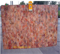 �ݻ����695