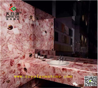 TSC-C56��ˮ��ϴ��̨