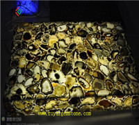 TSC-P17���͸��輸