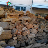 原石系列-木化石