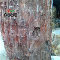 原石系列-亿年木化王