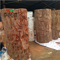 原石系列-亿万年木化石