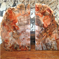 木化石&玛瑙书立