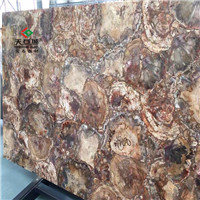 TSC-G4木化石(横切)